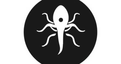 What Is Typhoid Perforation