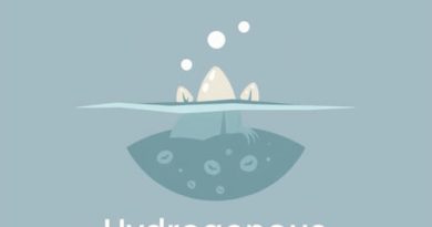 Where Does Hydrogenous Sediment Come From