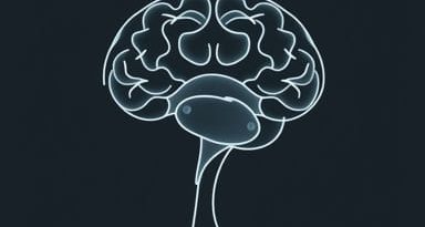 X Ray Of Head For Concussion