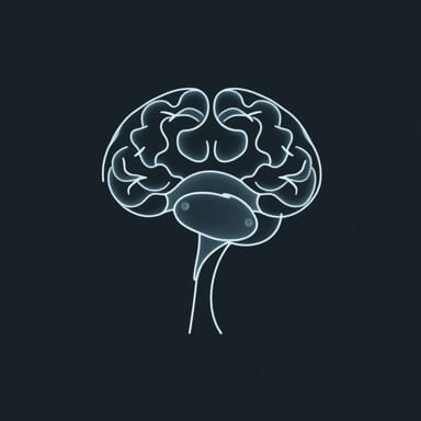 X Ray Of Head For Concussion