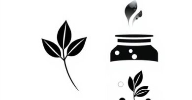 Xylinum Black Tea Ferment