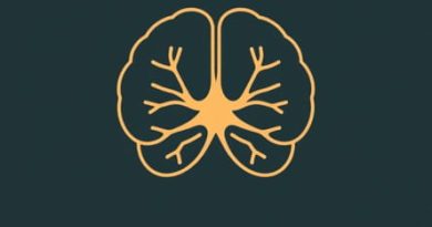 You Find The Pituitary Gland