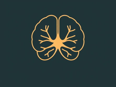 You Find The Pituitary Gland