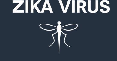 Zika Virus From Mosquitoes