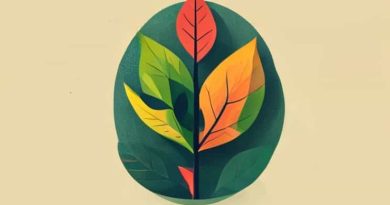 A Definition Of Photosynthesis