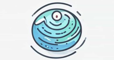 A Diagram Of The Water Cycle