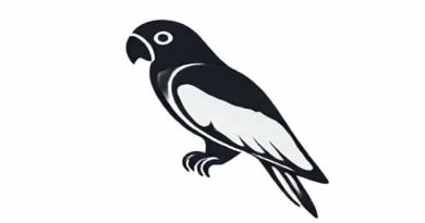 A Parrot Or An Parrot