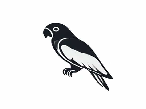 A Parrot Or An Parrot