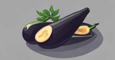 A Recipe For Eggplant