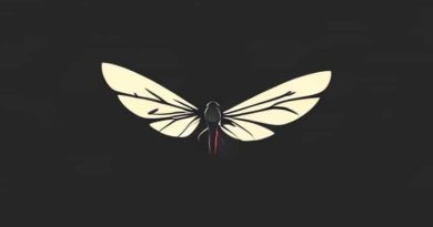 A Small Wingless Insect That Feeds On Blood