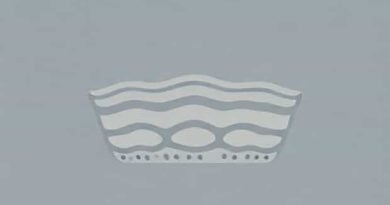 About Stratified Squamous Epithelium