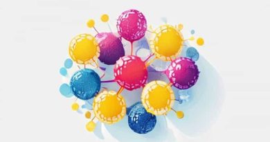 An Aggregation Of Cells And Extracellular Materials