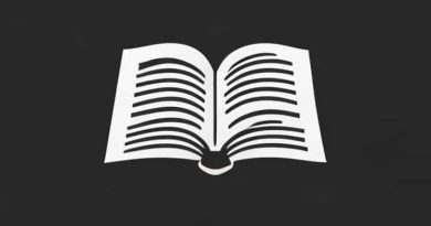 An Essay That Is Fraught With Errors