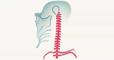 Anatomical Neck Of Humerus