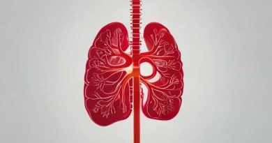 Anatomy And Physiology Of Renal Calculi