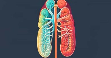 Anatomy And Physiology Of Renal Calculi Ppt
