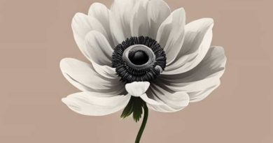 Anemone Giscard D'Estaing Mort