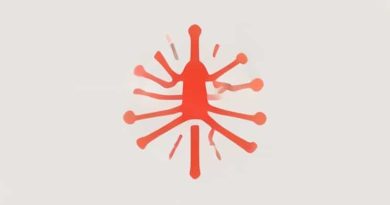 Apoptosis Is Programmed Cell