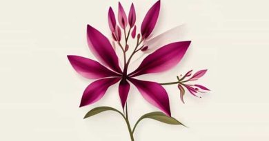 Aquilegia Vulg Ruby Port