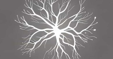 Are Dendrites Treelike Fibers Projecting From A Neuron