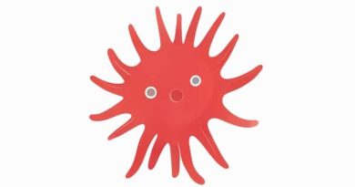 Are Echinoderm Protostome Or Deuterostome