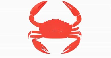 Are Imitation Crab Healthy