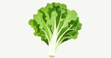 Are Lettuce Good For You