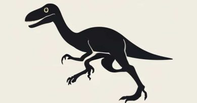 Asa Gigantoraptor Imprinter Mismatch