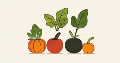 Autumn Veges To Plant