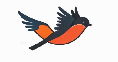 Avian X Swimmer Decoy