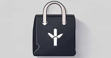 Bag Policy Wrigley Field