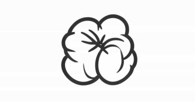 Bahan Cotton Combed 20s