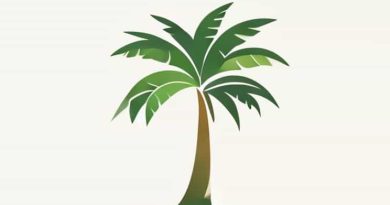 Barcelo Occidental Punta Cana