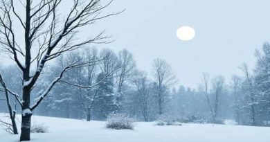 B&B Vol Liefde Winter