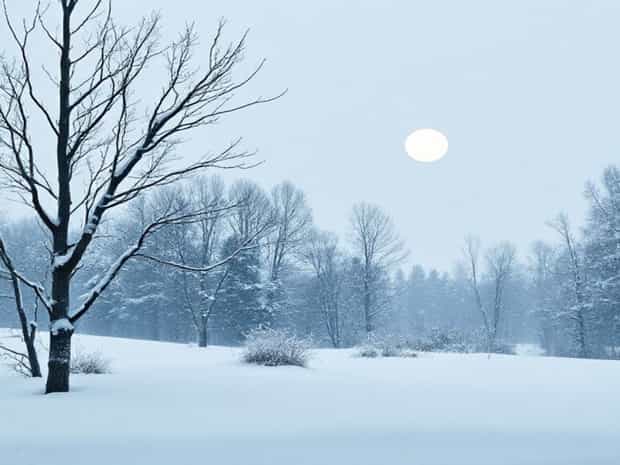 B&B Vol Liefde Winter