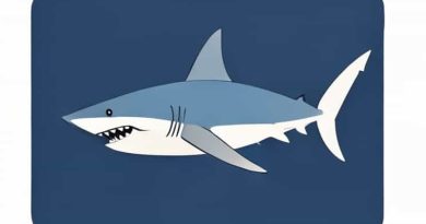 Be Somebody Shark Tank