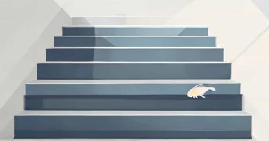 Best Carpeting For Stairs