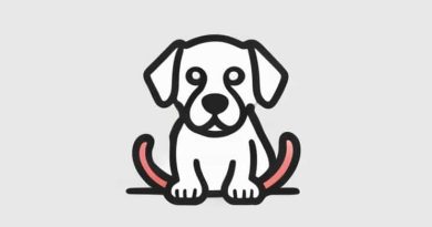 Best Dog Containment System