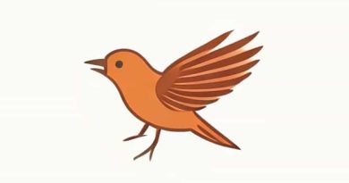 Best Finish For Birdseye Maple