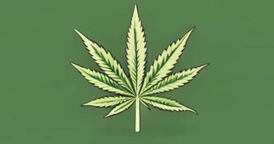 Best Granular Weed Killer