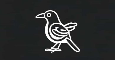 Best Monocular For Bird Watching