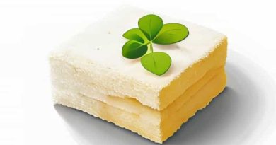 Best Quality Swedish Dishcloths