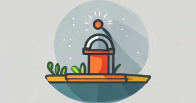 Best Time To Irrigate