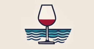 Best Wineglass Bay Cruise