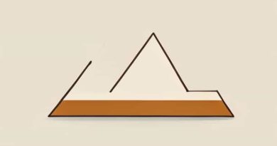 Big Easy Non Marring Wedge