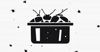 Bin Weevils Hunt For Weevil