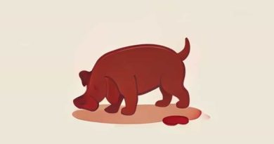 Blood In Dog Stool