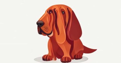 Bloodhound Admissible In Court