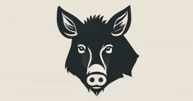 Boar'S Head Beef Knockwurst