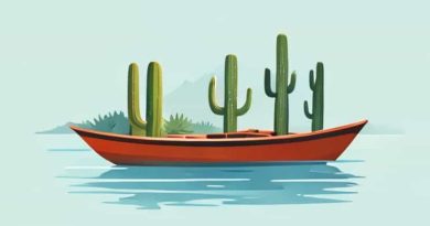 Boat Rental Saguaro Lake